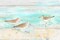 Sandpiper Beach Landscape Poster Print by Cynthia Coulter - Item # VARPDXRB11886CC